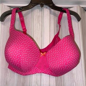 Cacique Lane Bryant Mesh Pink Polkadot Bra Underwire Lightly Lined 44DD NWOT